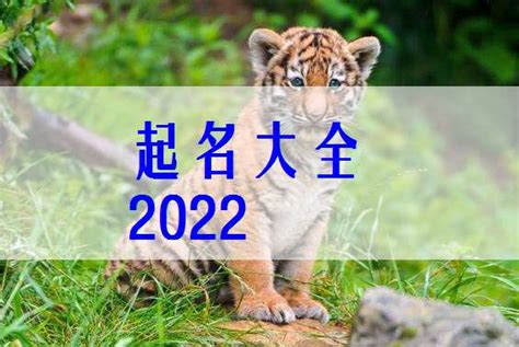 2022年虎寶寶幾月出生最好|2022年虎宝宝几月份出生最好？农历出生最佳月份？